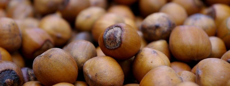 Lebensmittelinformation Allergene